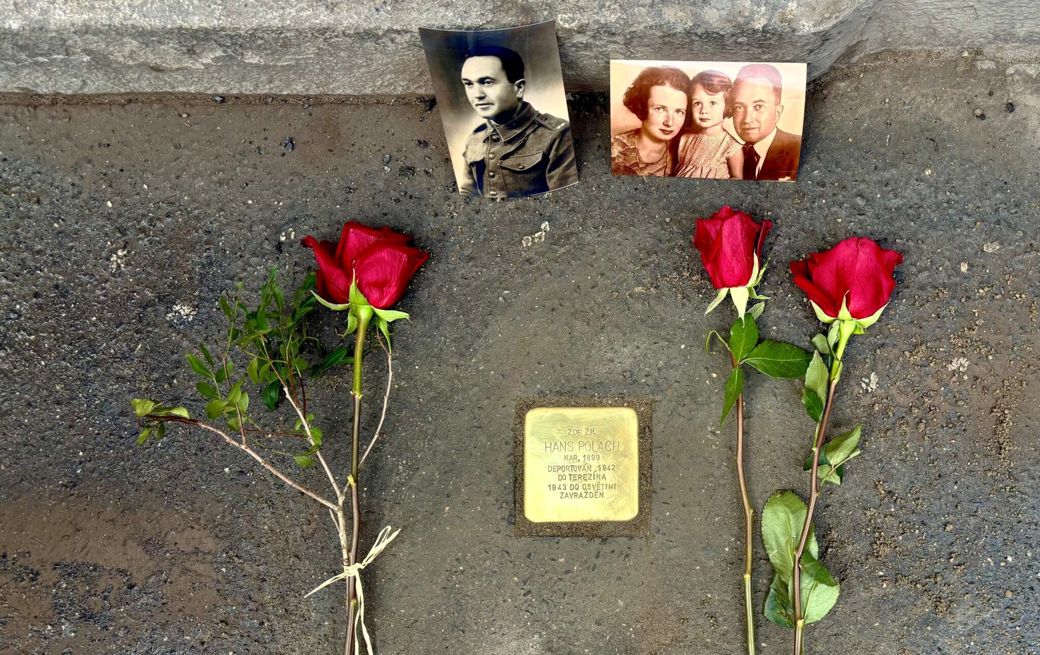 Hanuš Polach - Stolperstein